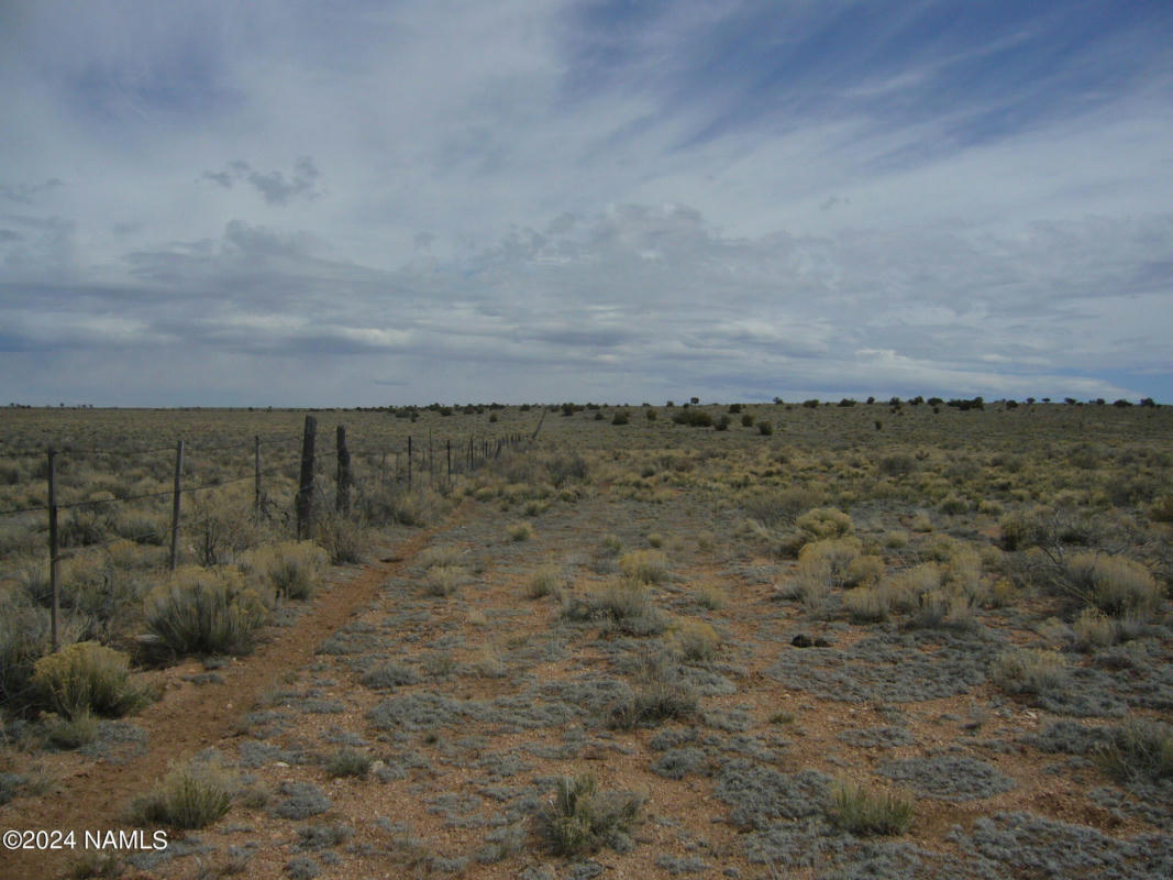 000 OFF CRYSTAL VIEW, WILLIAMS, AZ 86046, photo 1 of 16